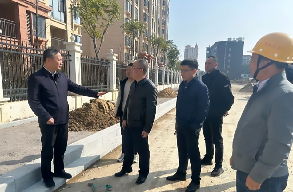 青山湖區(qū)黨委副書記、區(qū)長(zhǎng)楊育星到利民路項(xiàng)目調(diào)研